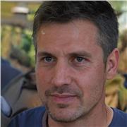 Verbessere deine Fähigkeiten in Geschichte mit einem hochqualifizierten Lehrer